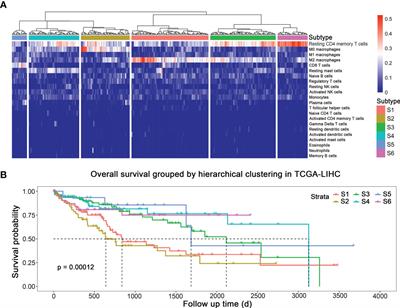 The Landscape of Immune Cells Indicates Prognosis and Applicability of Checkpoint Therapy in Hepatocellular Carcinoma